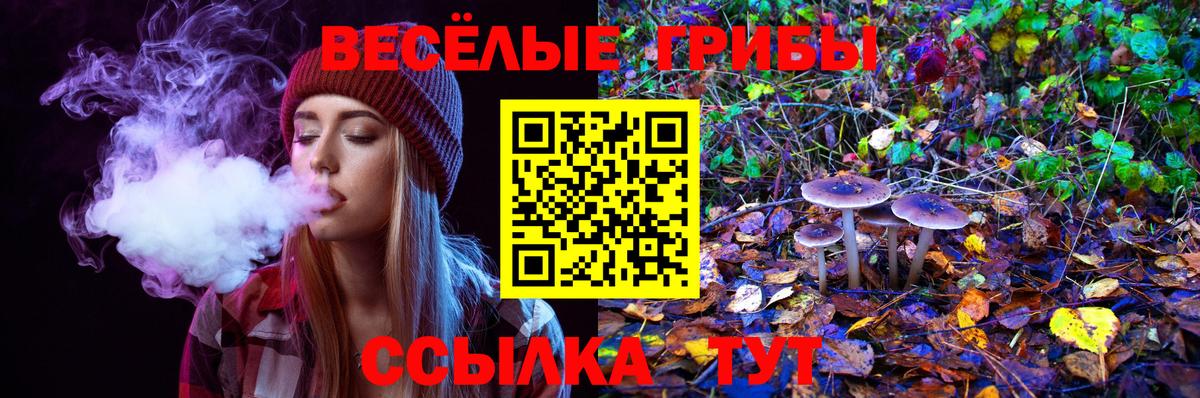Псилоцибиновые грибы прущие грибы  Вход с VPN  Рузаевка  Галлюциногенные грибы GOLDEN TEACHER 